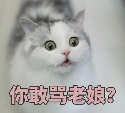 美瞳干了还能用吗(美瞳线怎么洗掉最安全)