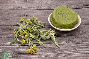 鼠曲草怎么吃(鼠曲草怎么吃最好)