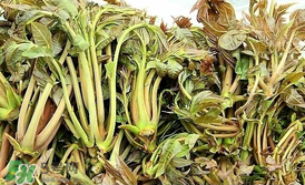 平菇和什么一起吃好(平菇和什么一起吃好)