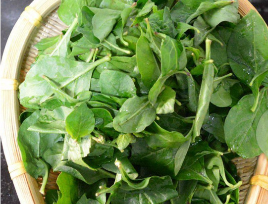 冻干粉多久一个疗程(冻干粉多久用一次) 冻干粉多久一个疗程(冻干粉多久用一次)