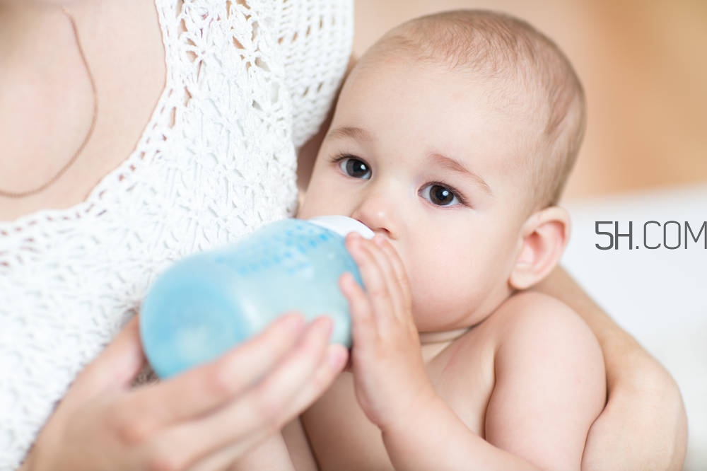 迷迭香茶怎么挑选(迷迭香搭配什么泡茶)