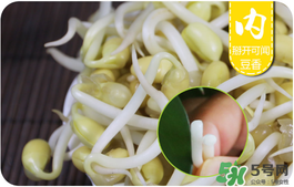 黄豆芽煮多长时间能熟(泡黄豆芽的方法 家庭)