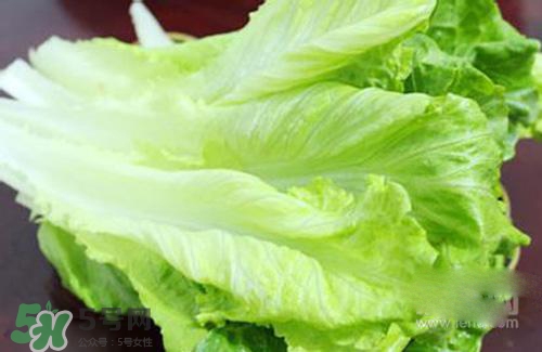 生菜放冰箱能放几天(生菜放冰箱能放几天)