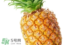 三类人千万不宜食用菠萝(菠萝哪些人不宜吃)