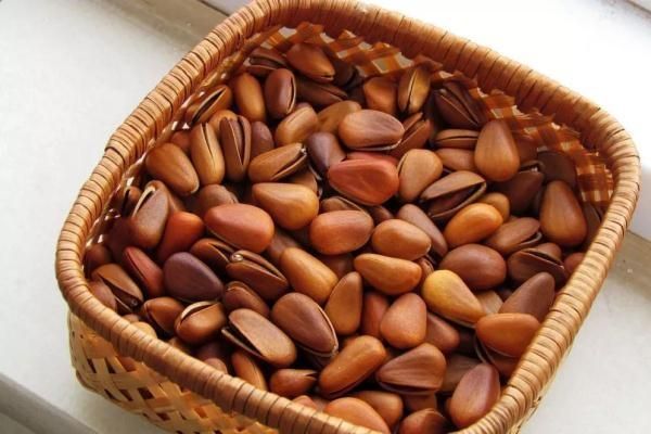 减肥的人为什么可以吃坚果(减肥的人能吃坚果吗)