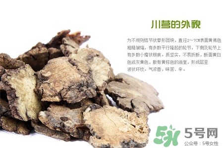 川芎的副作用和禁忌(川芎的副作用和禁忌有哪些)