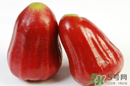 莲雾的营养价值(莲雾的营养价值及功效和作用) 莲雾的营养价值(莲雾的营养价值及功效和作用)