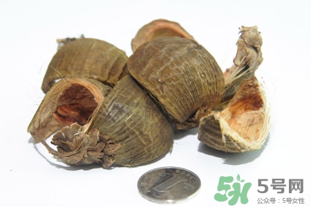 吃槟榔的副作用及危害(吃槟榔有没有副作用) 吃槟榔的副作用及危害(吃槟榔有没有副作用)