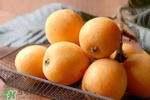 菠萝不能一起吃吗(菠萝不能一起吃吗)