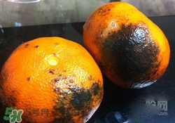 烤橘子要掌握火候吗(烤橘子要烤到什么程度)