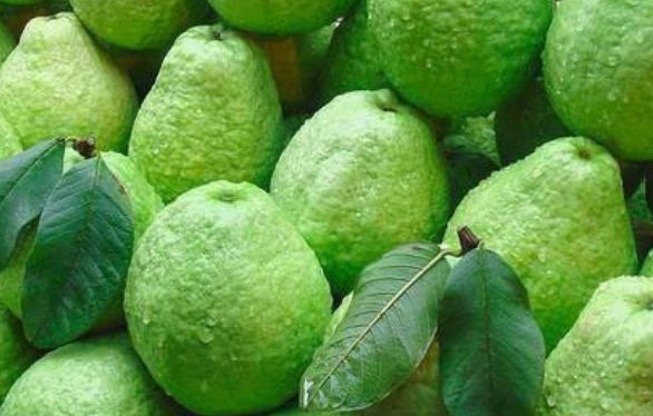 十大低糖水果排行榜(十大低糖水果排行榜图片) 十大低糖水果排行榜(十大低糖水果排行榜图片)