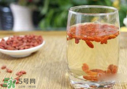 枸杞子泡水的注意事(枸杞子泡水禁忌必知)