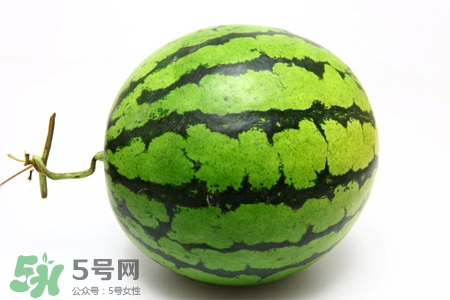 西瓜的功效和作用(西瓜的功效和作用及营养价值)