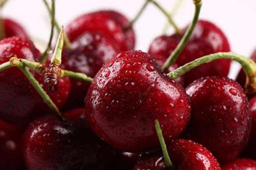 怎么样看车厘子是否变质(怎么知道车厘子是否变质) 怎么样看车厘子是否变质(怎么知道车厘子是否变质)