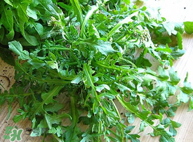 常见的症状和传播途径(常见的传播途径有哪些) 常见的症状和传播途径(常见的传播途径有哪些)