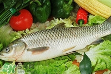 哪些人不能吃草鱼(哪些人不能吃草鱼)