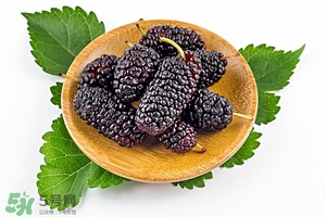 桑葚过敏怎么办(桑葚过敏怎么办) 桑葚过敏怎么办(桑葚过敏怎么办)