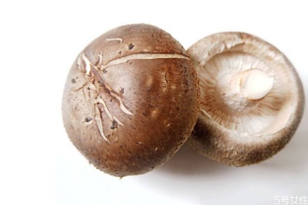 新鲜香菇煮多久能熟(新鲜香菇煮多久能熟,不熟有毒吗)