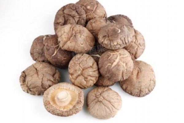 泡干蘑菇的技巧有什么(泡干蘑菇的方法)