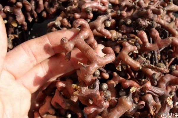 鸡爪果泡酒怎么做(鸡爪果泡酒怎么做发) 鸡爪果泡酒怎么做(鸡爪果泡酒怎么做发)