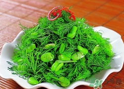 茴香的吃法(茴香的吃法做法大全)