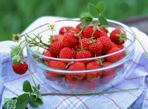 草莓的营养成分(草莓的营养成分含量表)