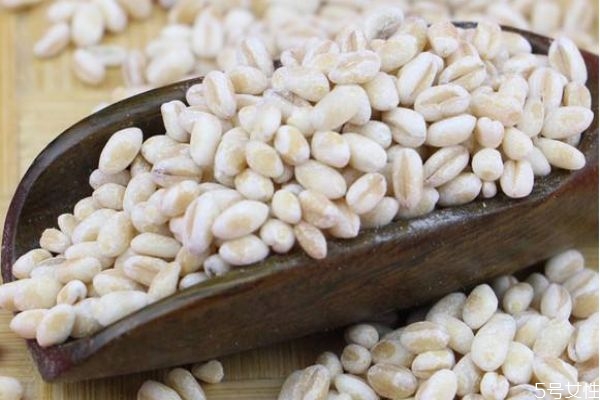 吃麦仁有什么要注意的呢(吃麦仁的禁忌) 吃麦仁有什么要注意的呢(吃麦仁的禁忌)