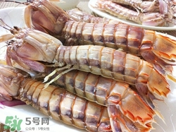 禁忌人群:(禁忌人群是什么意思)