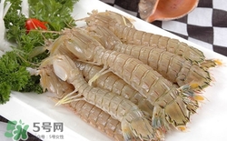 孕妇吃皮皮虾的禁忌(孕妇吃皮皮虾的禁忌)