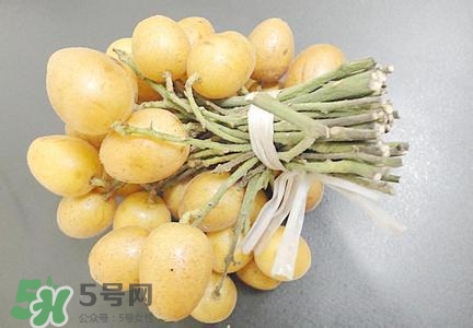 黄皮泡蜂蜜:(黄皮泡蜂蜜的功效和作用)