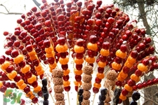 黛珂ag防晒怎么样(黛珂ag防晒霜怎么样) 黛珂ag防晒怎么样(黛珂ag防晒霜怎么样)