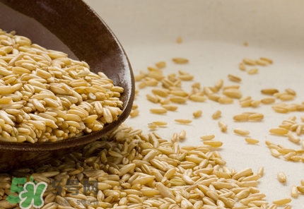 如何制作五谷杂粮粉?(五谷杂粮磨粉)