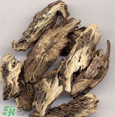 漏芦的禁忌人群(漏芦的功效和作用禁忌) 漏芦的禁忌人群(漏芦的功效和作用禁忌)