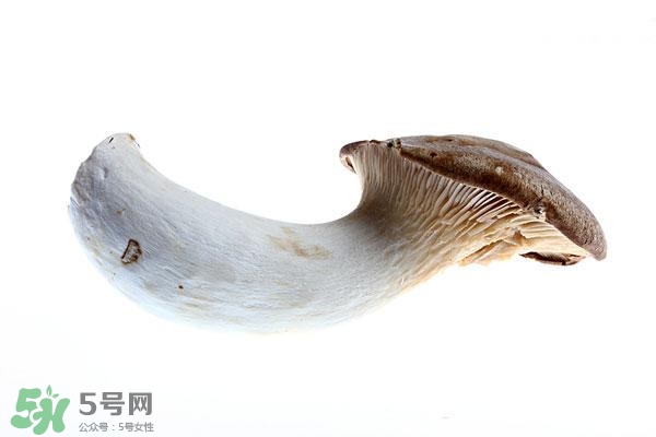 吃杏鲍菇的注意事项(吃杏鲍菇的注意事项)