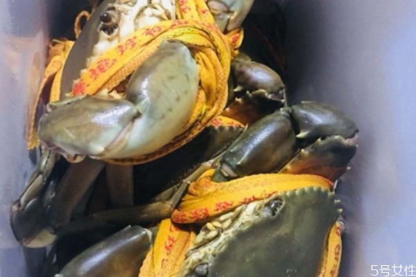 三门青蟹什么时候最肥(三门青蟹什么时候最肥?)