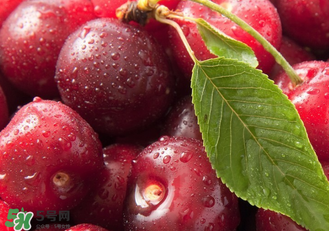 吃什么会便秘吗(吃什么会导致便秘)