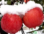 苹果怎么保鲜(苹果怎么保鲜存放时间长些)
