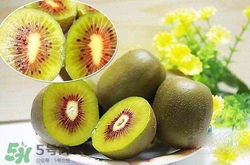 喝酒后吃猕猴桃解毒保肝(喝酒前吃猕猴桃解酒吗)