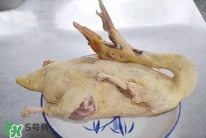 腊鹅怎么做好吃(腊鹅怎么做好吃法大全)