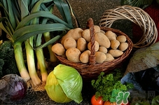 菲洛嘉卸妆慕斯测评(菲洛嘉卸妆慕斯是洗面奶吗)