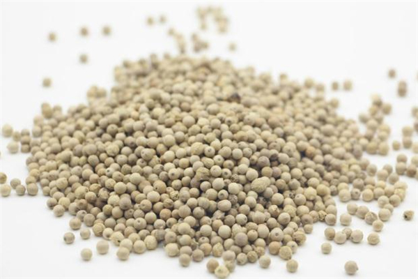 白胡椒有哪些功效(白胡椒有哪些功效)