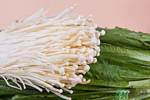 功效和作用(功效和作用是什么)