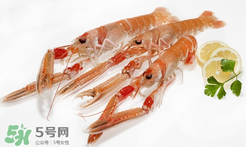 螯虾的营养价值(螯虾的营养价值和作用)