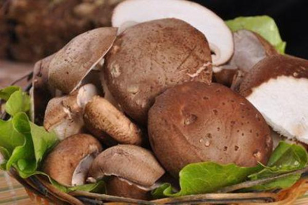 香菇适合多少度的水浸泡(香菇用多少度水浸泡)