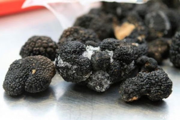 黑松露多少钱一盒(黑松露多少钱一盒)