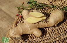 沙姜什么人不能吃(沙姜什么人不能吃昨天晚上七星彩开奖结果)