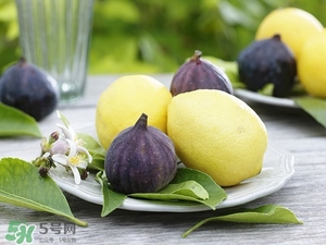 无花果干泡水喝的功效(无花果干泡水喝的功效和作用)