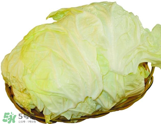 白菜怎么挑选(白菜怎么挑选) 白菜怎么挑选(白菜怎么挑选)