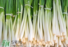 推荐食谱介绍(好的食谱推荐) 推荐食谱介绍(好的食谱推荐)