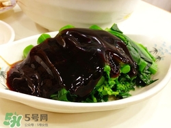 孕妇应该怎么吃蚝油才好呢?(孕妇吃蚝油好吗)